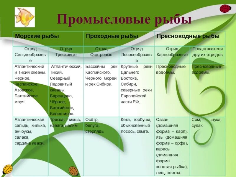 Презентация по предмету Физиология питания с основами товароведения продовольств