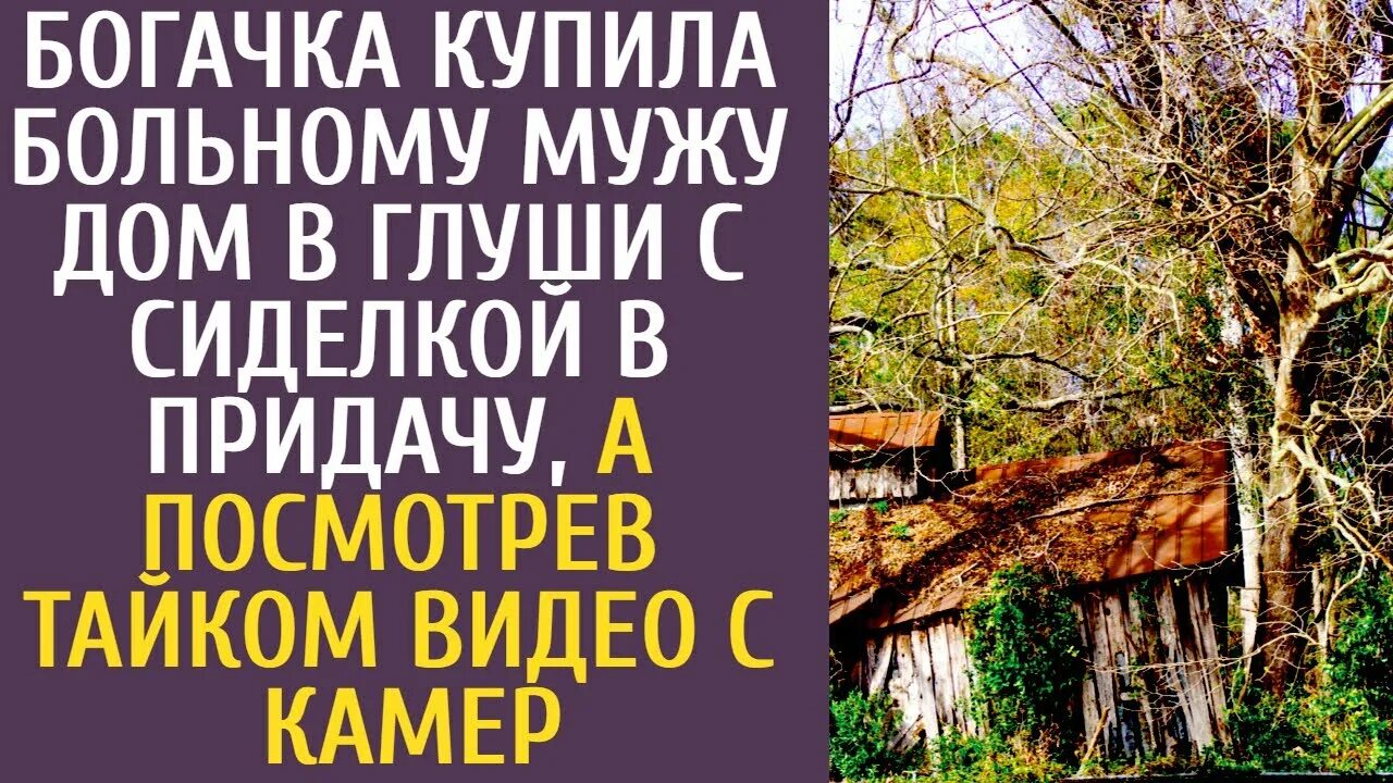 Пенсионер дом в глуши читать. Пенсионер дом в глуши читать