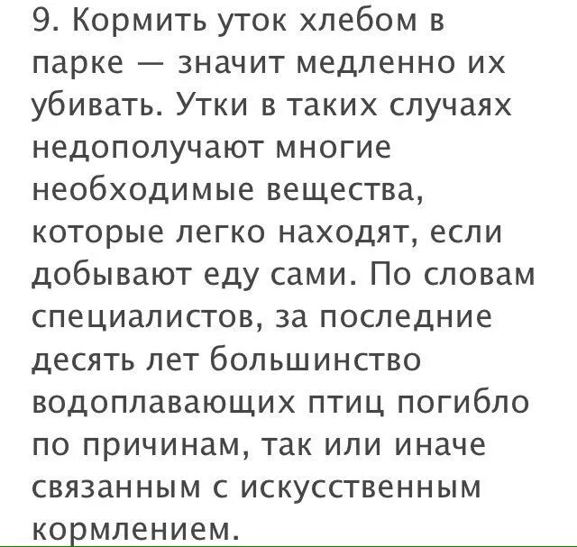 Почему уткам нельзя хлеб. Почему нельзя кормить уток хлебом. чем нельзя кормить уток. уток нельзя кормить.
