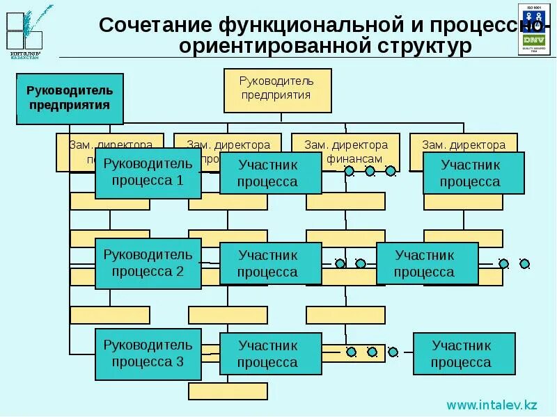 Функциональное руководство организацией. Процессная организационная структура предприятия. Функционально-ориентированная организационная структура. Процессно-ориентированная структура. Процессная структура управления.