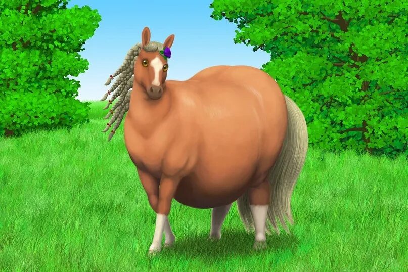Упитанная лошадь. Fat horse. Fat horse. Fat horse. Хорсе фат horse fat.