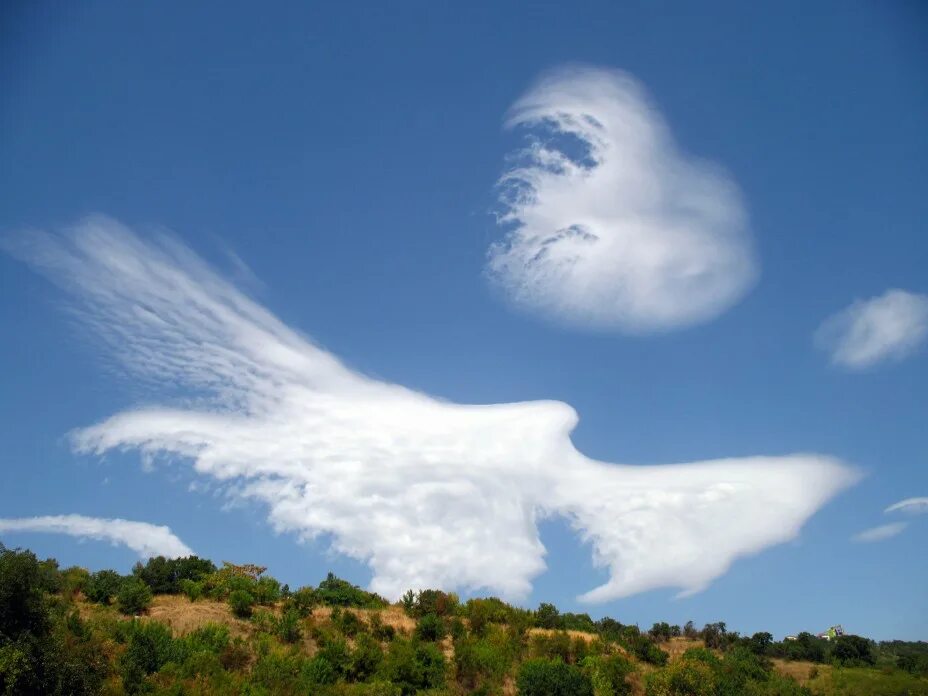 Облака. Необычные облака. Причудливые облака. Облако в форме птицы.
