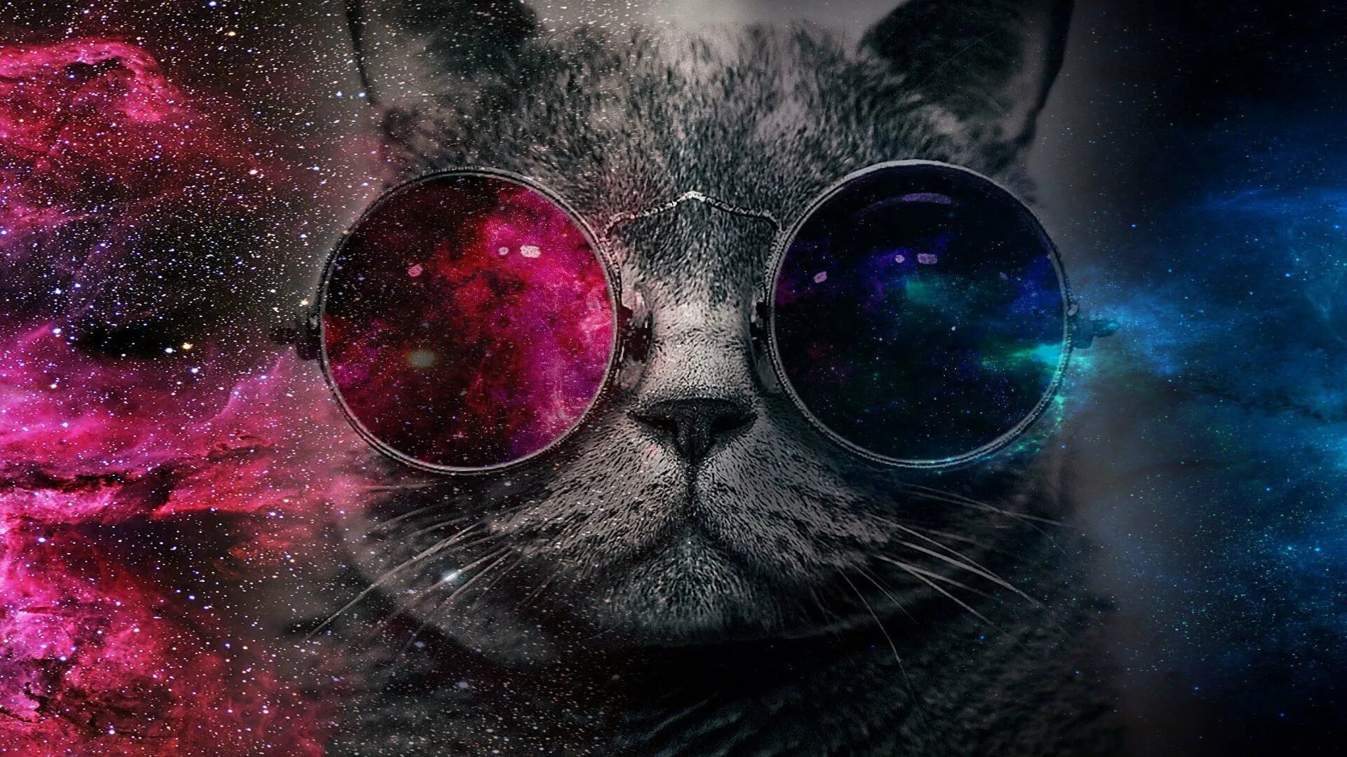 Космический кот. Крутые коты. Кот с очками космос. Крутой кот в очках. Самые красивые обложки