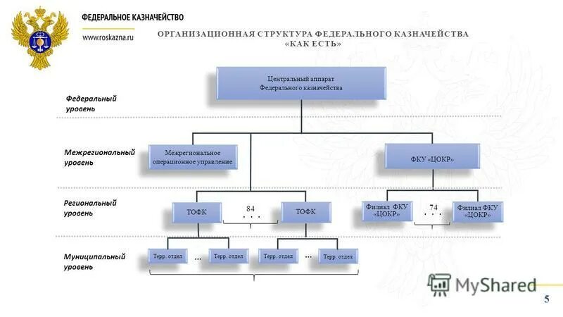 Корневые федерального казначейства