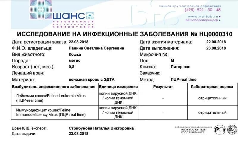 Анализ на иммунодефицит. Результат ПЦР отрицательный. ПЦР тест на коронавирус кошек. Отрицательный тест на коронавирус. Отрицательный ПЦР на коронавирус.