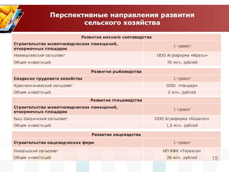 Перспективные направления сельского хозяйства. Перспективные направления развития хозяйства Сибири. Направления развития сельского хозяйства. План развития сельского хозяйства.