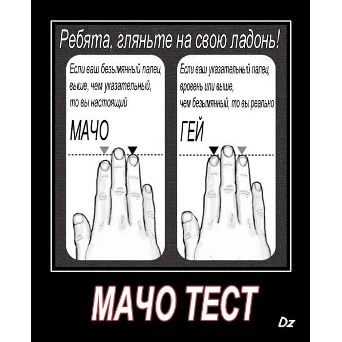 Тест у тебя к нему настоящие. Прикольные тесты. тесты приколы смешные. прикольные тесты в картинках. тест смешная картинка.
