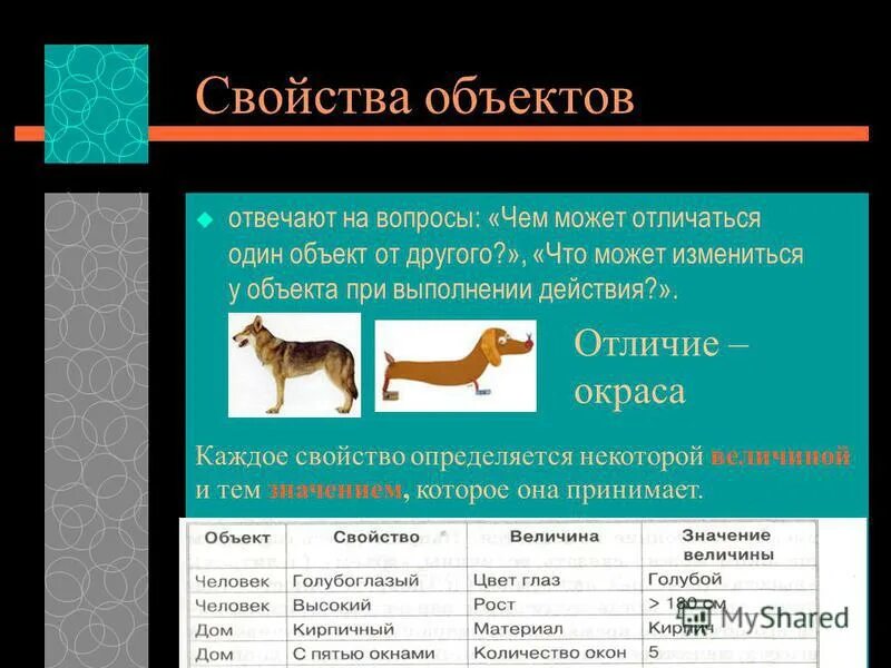 Обитать. Рассказ о ягуаре 4 класс. Характерные особенности животных. Классификация животного мира таблица 7 класс биология. Классификационные группы животных.