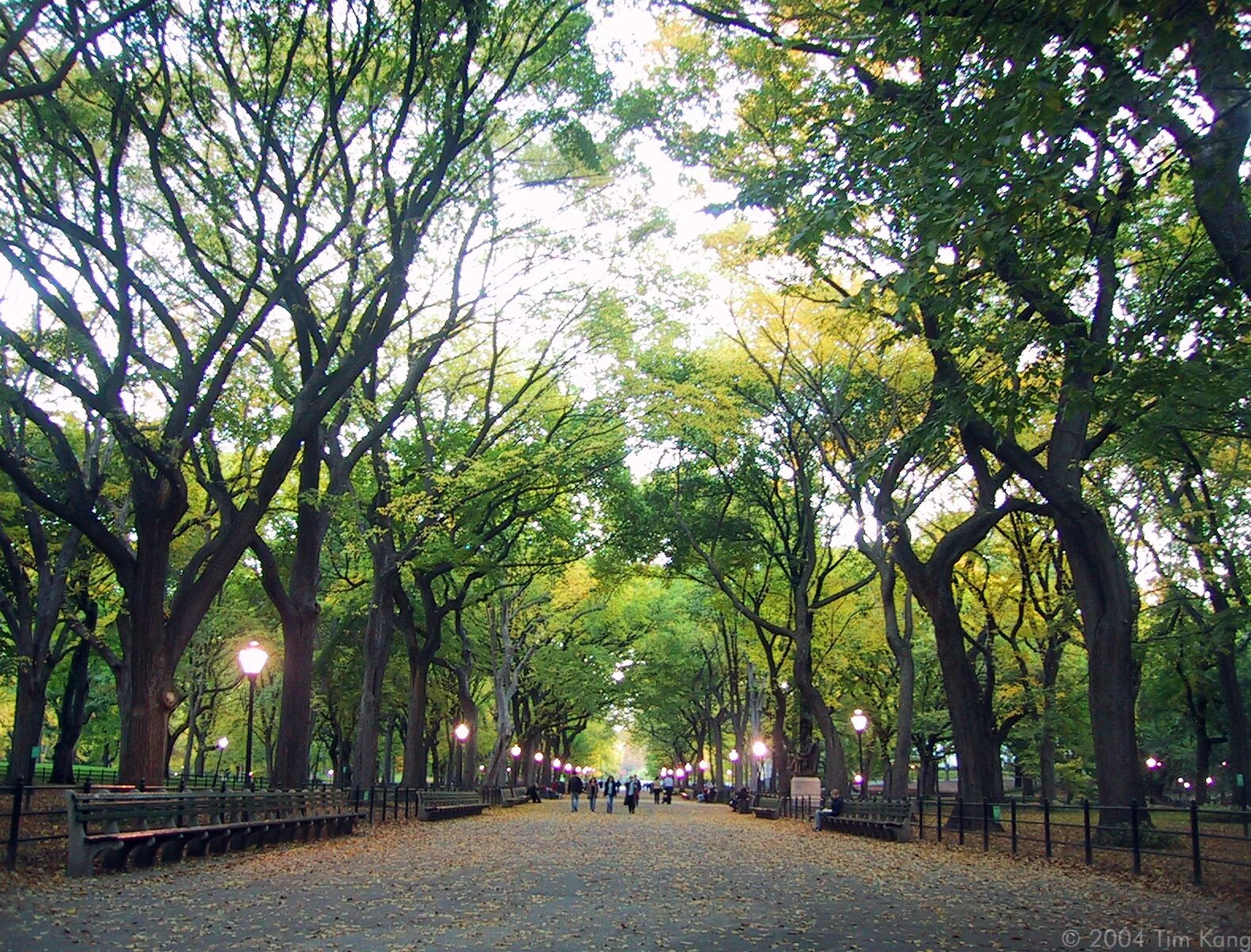 Park scene. Парк Вондела Нидерланды. Центральный парк в Нью-Йорке аллея. Зоопарк в Нью-Йорке Центральный парк. Нью Йорк Манхэттен зоопарк.