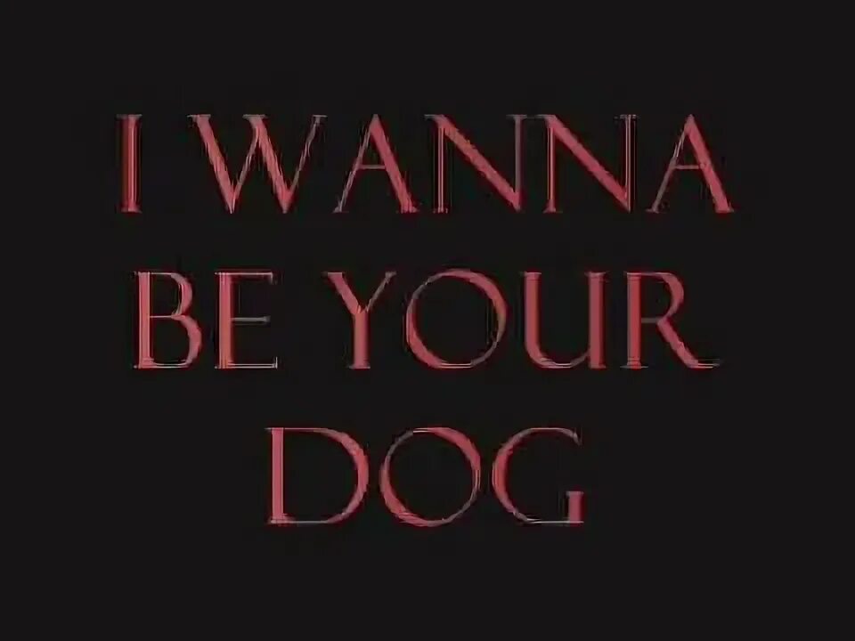 I wanna be yours x. Now i wanna be your Dog. I wanna be your Dog the stooges. Iggy Pop i wanna be your Dog.