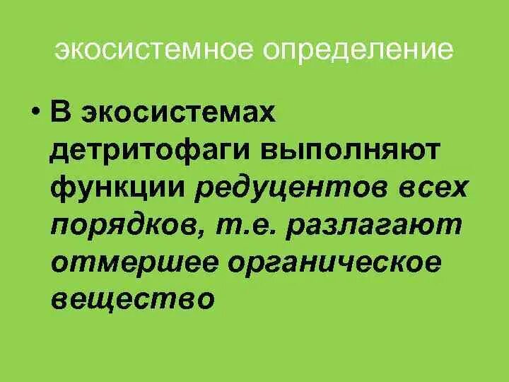 Функции редуцентов. Роль редуцентов в экоситсема. Функции редуцентов в экосистемах. Роль в функционировании экосистемы редуценты. Роль организмов редуцентов.