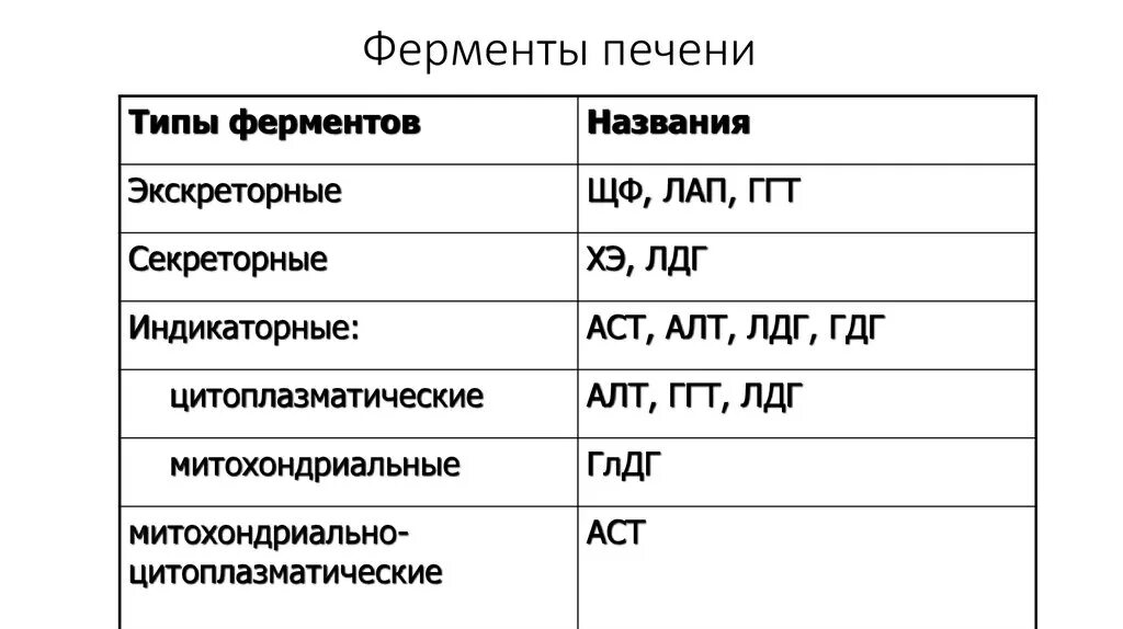 За что отвечают ферменты печени