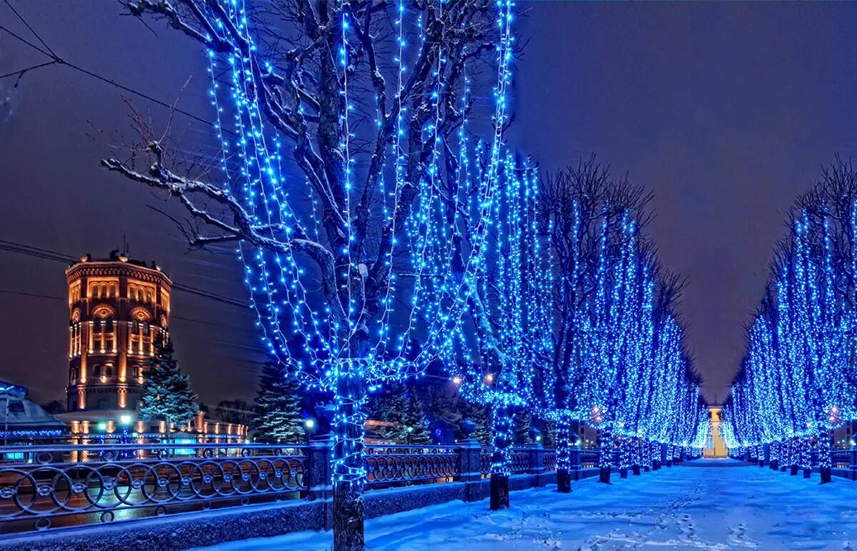 Санкт петербург новогодние улицы. Зимний город. Новогоднее украшение города. Новогодняя улица. Санкт-Петербург зимой.