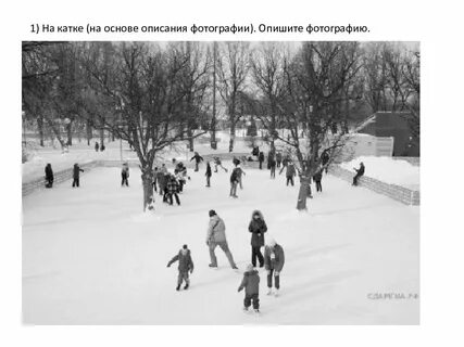 Описание катка