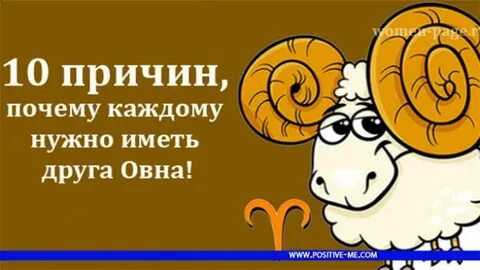 Овен когда др