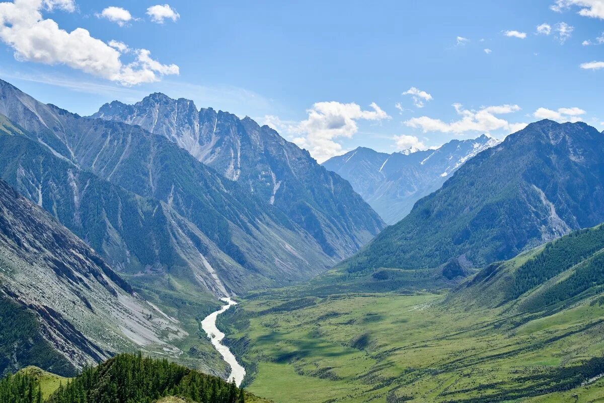 Природный пояс у подножия гор алтай. Горы Алтая. Горы Алтая и горы Кавказа. Яломан Алтай. Золотые горы Алтая рельеф.