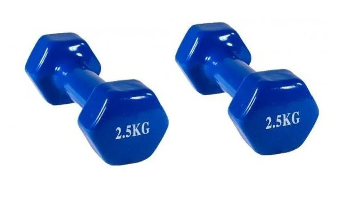 Гантели 2 5 кг. Гантель цельнолитая atemi ad-01-2 2 кг. гантели atemi ad022 2x1kg pink. гантель euro classic 5kg blue. гантели (набор 2 шт) престиж.