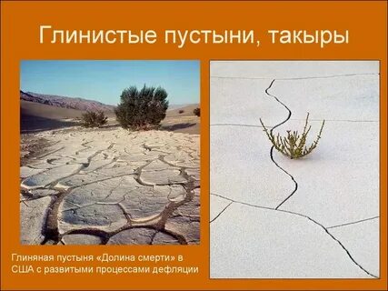 Природная зона пустыни почвы