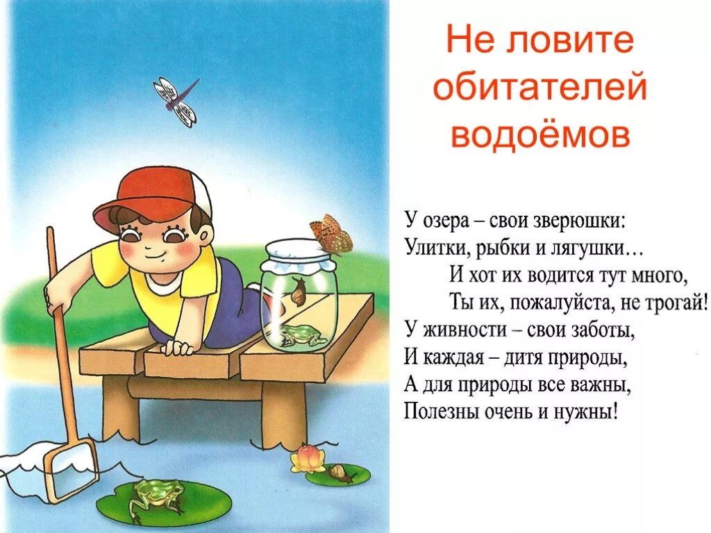 Почему нельзя ловить рыбу. Не ловите обитателей водоемов. Стих про пруд для детей. Стихи про водоемы для детей. Охрана водоёмов в стихах для детей.