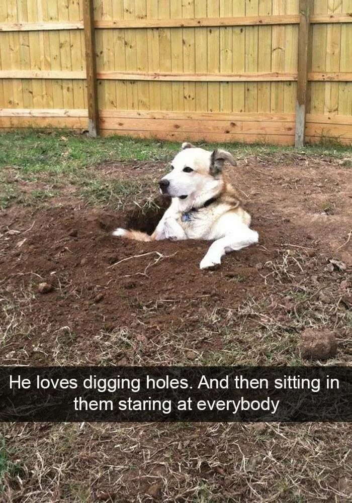 Digging holes. I like digging holes.