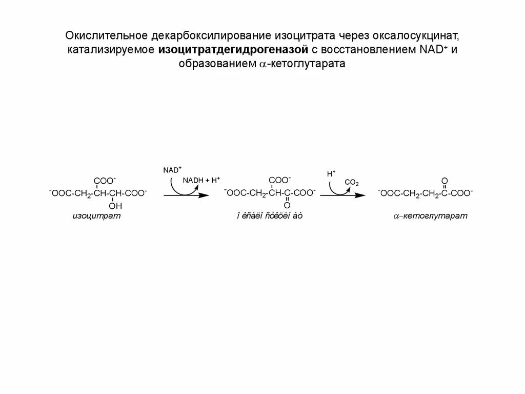 Окисление натрия реакция. Декарбоксилирование Альфа кетоглутарата. Окислительное декарбоксилирование кетоглутарата. Реакция окислительного декарбоксилирования изоцитрата. Окислительное декарбоксилирование изоцитрата.