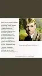 Места нет здесь мечтам и химерам