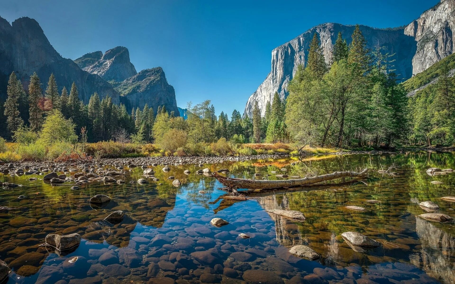 We live nature. Йосемити национальный парк. Парк Йосемити Калифорния. Национальный Йосемитский парк в Северной Америки. Йосемити Ергаки.