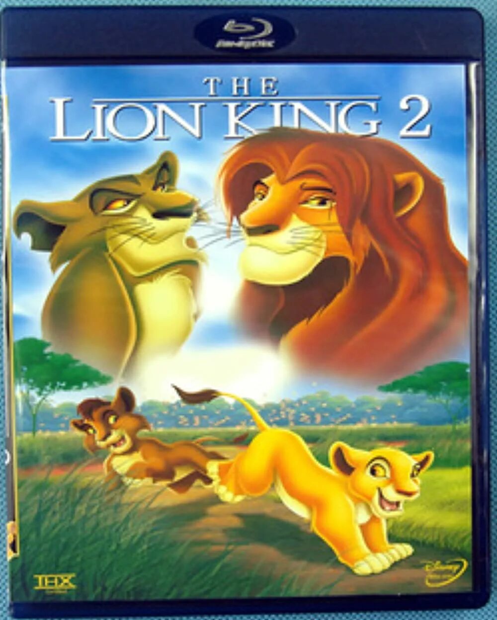Бесплатные симба 2. Король Лев 2: гордость Симбы. Король Лев 2 1998. Зира Король Лев 2 гордость Симбы. Король Лев 2 гордость Симбы the Lion King II: Simba's Pride 1998.