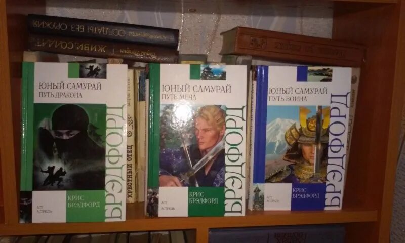 Юный самурай. Книга юный самурай. юный самурай путь воина. .брэдфорд, крис. юный самурай. путь дракона.