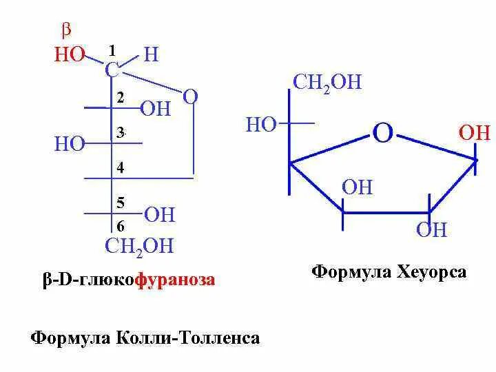 формулы фишера и хеуорса для моносахаридов. формула хеуорса. формулы хеуорса моносахаридов. формулы хеуорса моносахаридов. проекция хеуорса глюкозы.