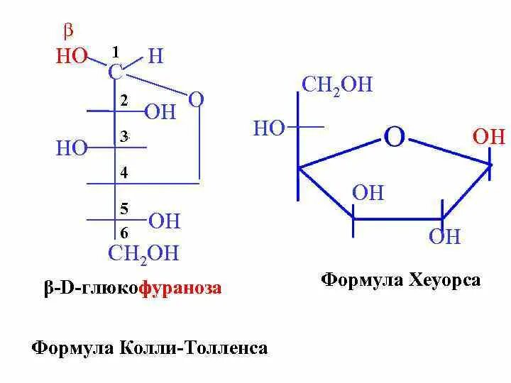 Формулы Фишера колли-Толленса и Хеуорса. Формула Толленса углеводы. Формулы Фишера биоорганическая химия. Фруктоза формула колли Толленса.