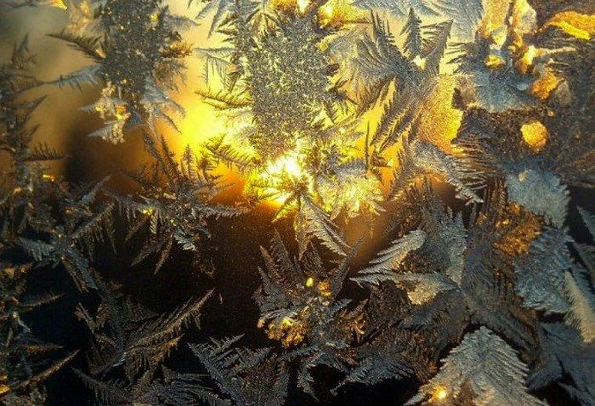 На окне серебряном от инея бунин. Морозные узоры. морозные узоры на окне. морозные узоры на стекле. мороз на окне.