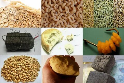 Какую приманку нужно