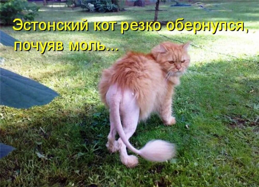 Будет таким частым что только