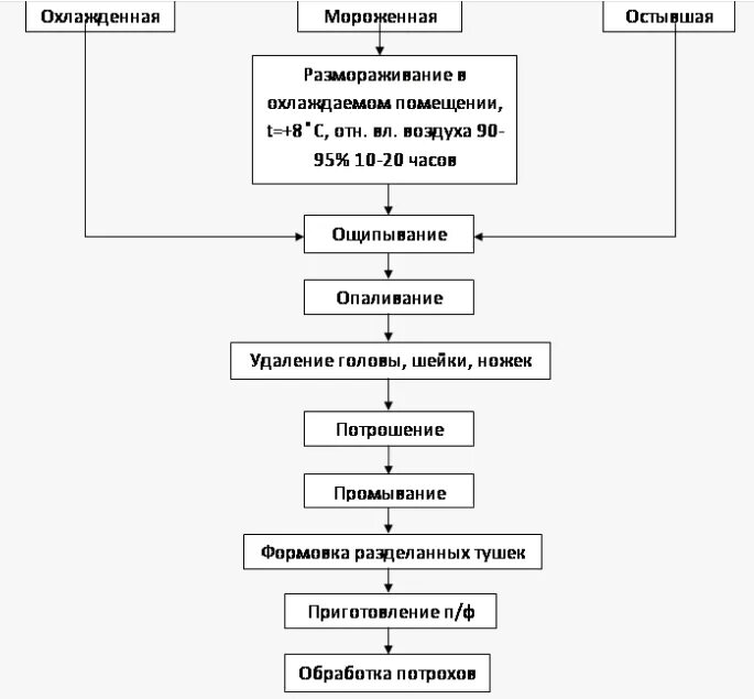 Схема механической кулинарной обработки кролика. Технологическая схема механической кулинарной потрошения птицы. Технологические схемы изготовления мяса птицы. Технологическая схема процесса обработки тушки птицы. Технологический цикл кулинарной продукции