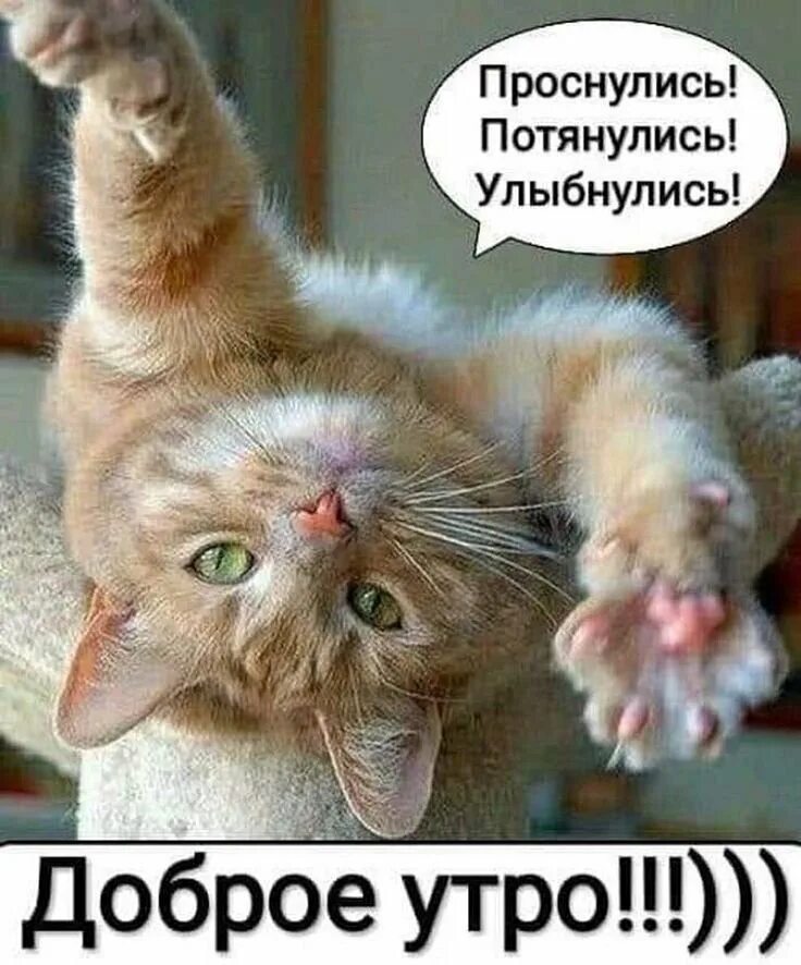 Проснулись улыбнулись. Проснулись потянулись улыбнулись. просыпаемся улыбаемся с добрым утром. проснулись потянулись доброе утро. потянулись улыбнулись с добрым.