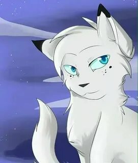 Белый кот воитель