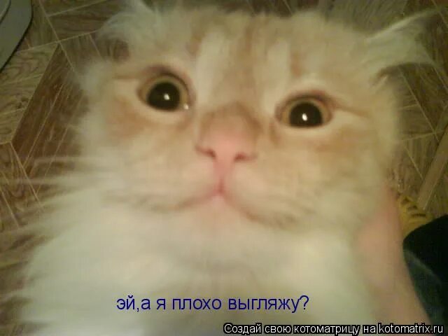 Плохо получаюсь на селфи. 2 января приколы. Плохо выгляжу форум. Почему на фото выглядишь хуже. Почему я плохо выгляжу.