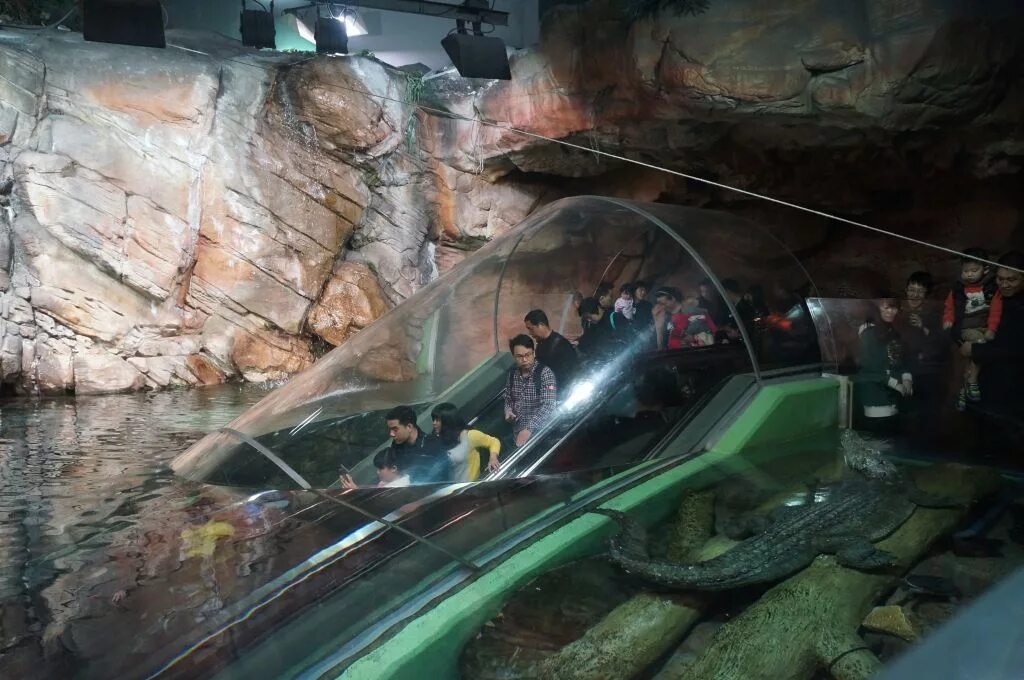 Океанариум шанхай. Шанхай океанариум эскалатор. Океанариум в Шанхае, Китай. Шанхайский океанический аквариум Китай. Подземный аквариум.