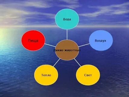 Биологические пища вода воздух