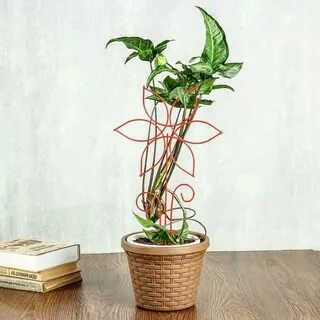 Опора для комнатных цветов