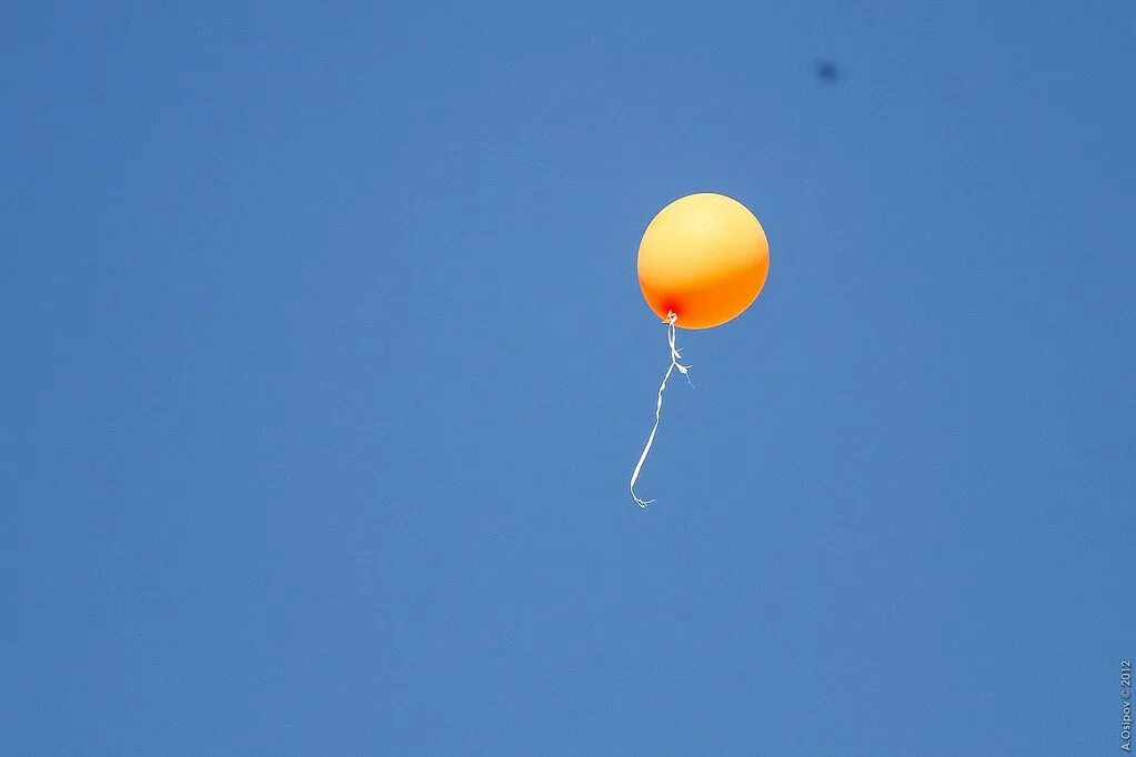 Лети воздушный шарик. Шарик улетел. Улетающий воздушный шар. Воздушный шарик улетает. Шарики летят.