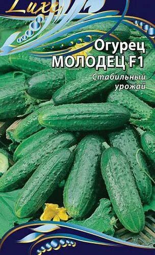 огурец маршал f1. огурец шустрец-молодец f1, 12шт (п). огурцы молодец отзывы. огурцы молодцы огурцы. огурцы молодец отзывы.