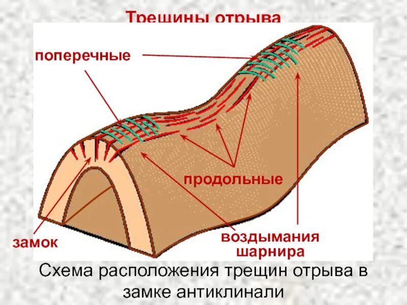 Поперечные трещины. Трещины отрыва. Трещины в породе. Трещины отрыва и скалывания. Трещины отрыва в геологии.