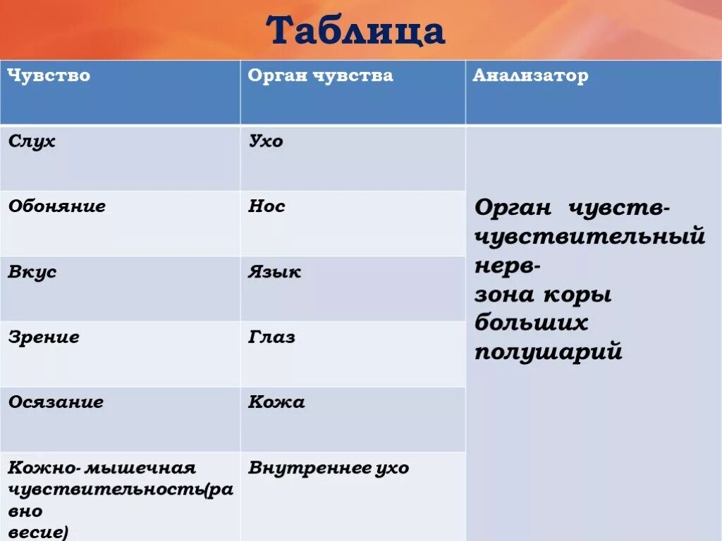 Органы чувств 8 класс биология презентация. Таблица по биологии 8 класс органы чувств. Таблица по биологии 8 класс органы чувств анализаторы. Таблица по биологии 8 класс органы чувств строение и функции. Орган осязания таблица.