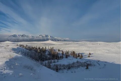 Самая северная пустыня в мире