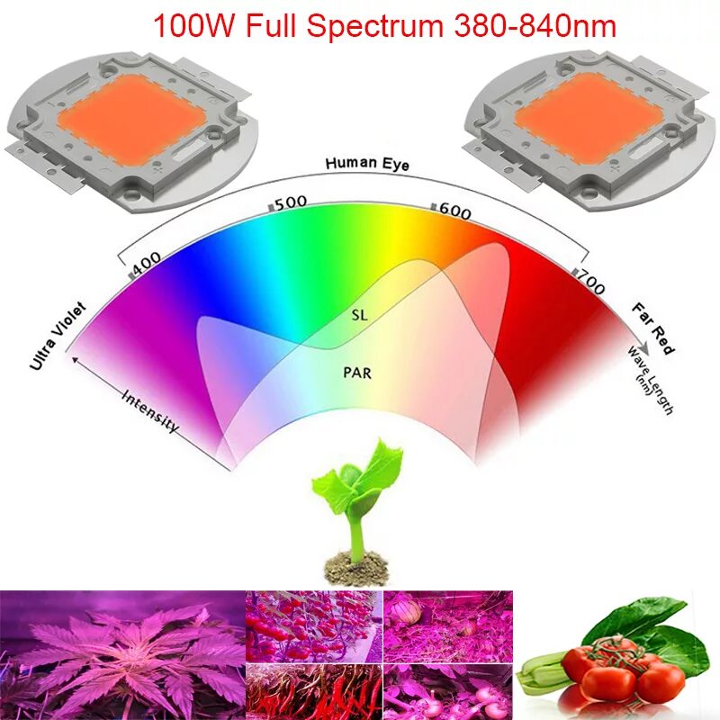 Фито диоды для растений полного спектра. Фито чип для растений полный спектр. Фито светодиоды 50w. Светодиодный чип полного спектра. Led полный спектр