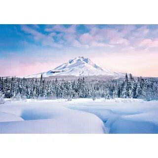 Mount g