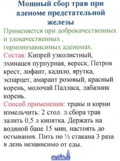 Предстательная железа народные средства лечения