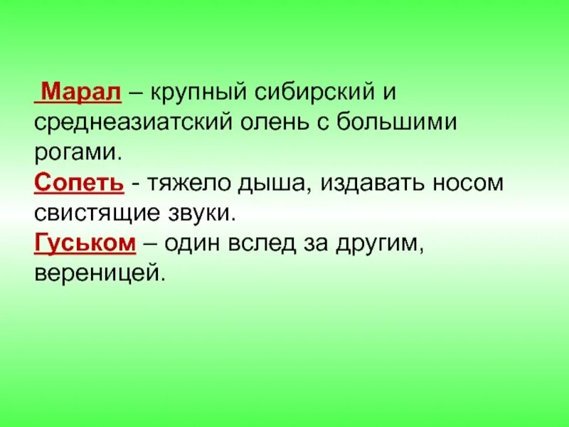 Чарушин кабан 4 класс. План к рассказу Чарушина кабан. Е И Чарушин кабан. План к сказке кабан.